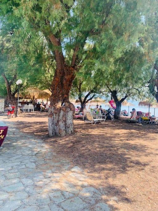 Villa ,,Sea Breeze,, - Home By The Sea Néa Ankhíalos 外观 照片