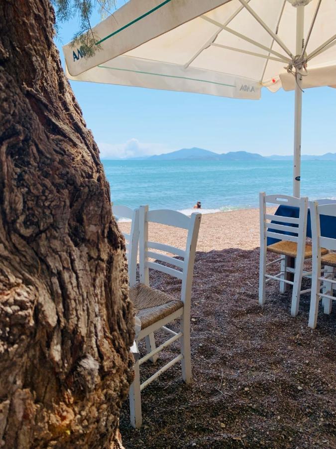 Villa ,,Sea Breeze,, - Home By The Sea Néa Ankhíalos 外观 照片