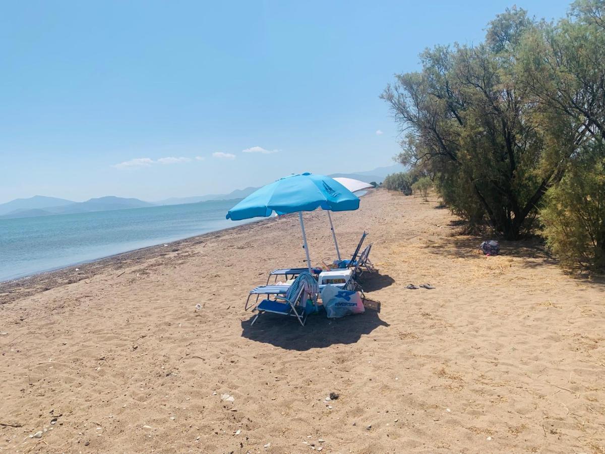 Villa ,,Sea Breeze,, - Home By The Sea Néa Ankhíalos 外观 照片