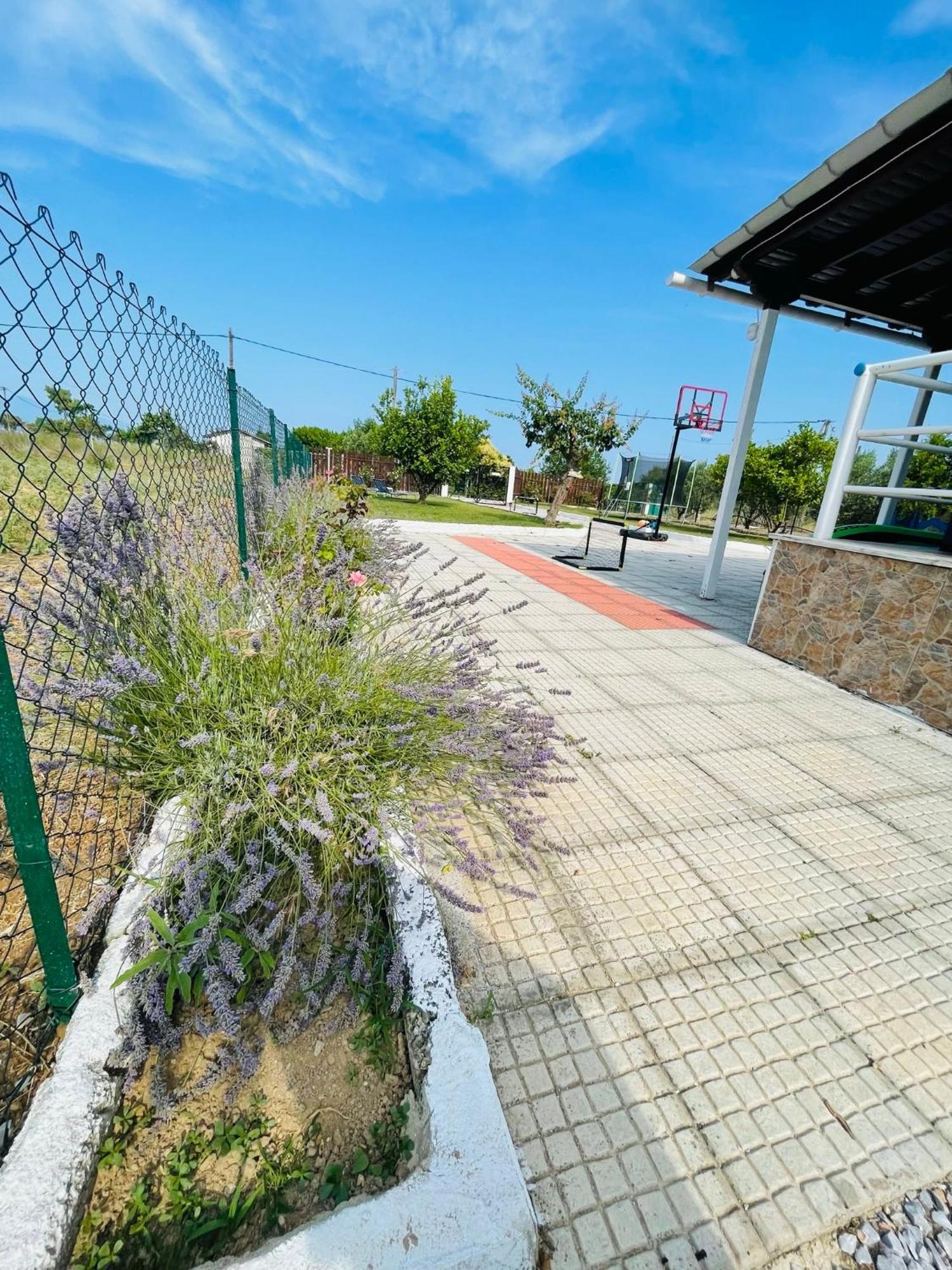 Villa ,,Sea Breeze,, - Home By The Sea Néa Ankhíalos 外观 照片